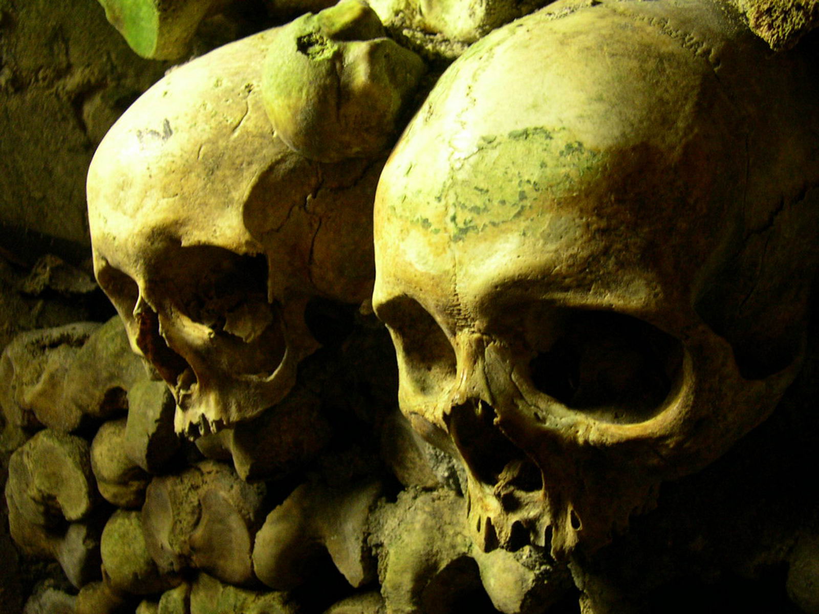 Free Wallpaper Dekstop: Horror wallpaper, horror wallpapers