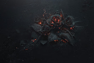 http://www.juxtapoz.com/photography/captivating-image-of-rose-embers