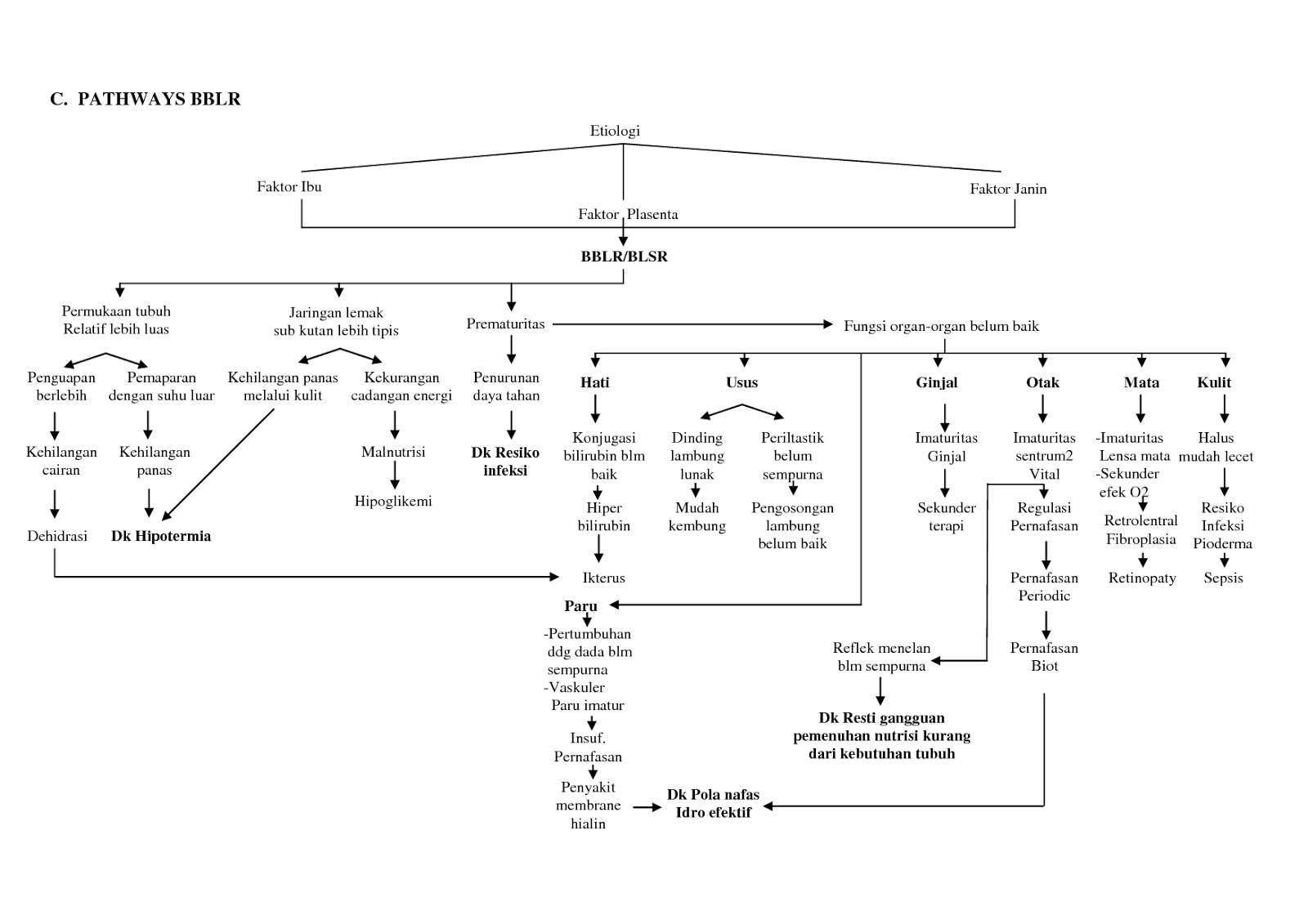 Pathway BBLR (Berat Badan Lahir Rendah) Pathway