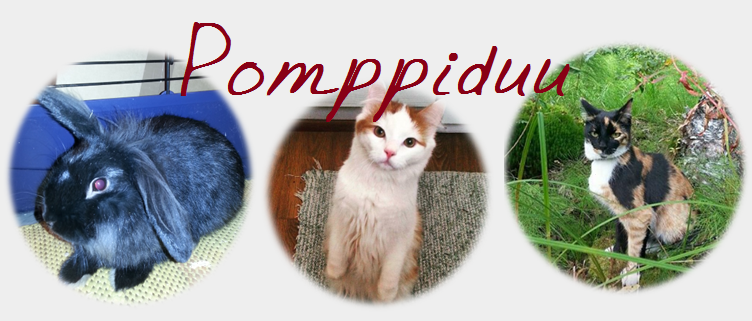 Pomppiduu