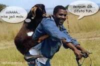 Percakapan Gembala kambing Lucu - Blogger Kudu