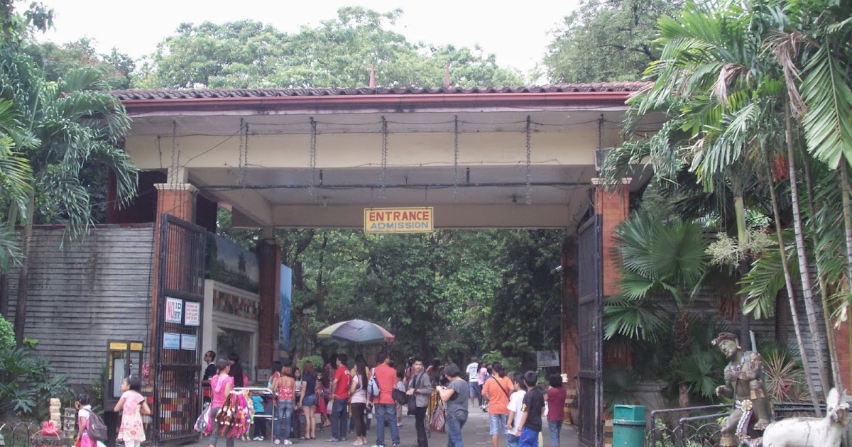 Manila zoo experience essay 07 image
