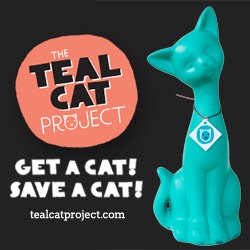 Teal cat Project