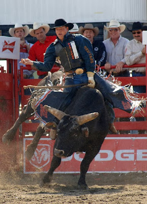 concurs de rodeo