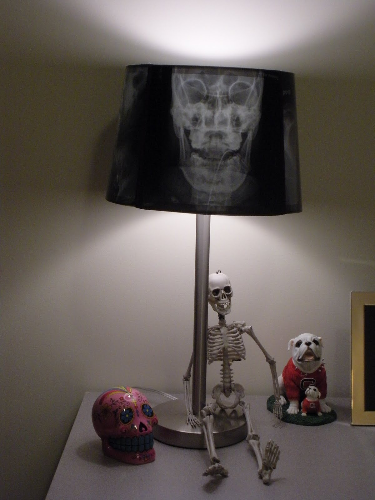 NOT A REAL HOUSEWIFE Fun with XRays