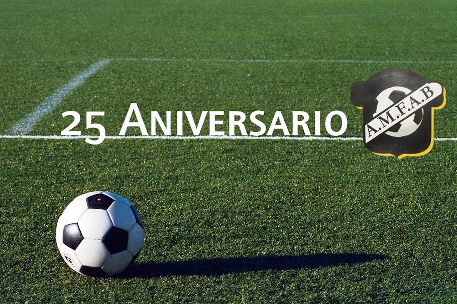 AMFAB                                                                               25° ANIVERSARIO