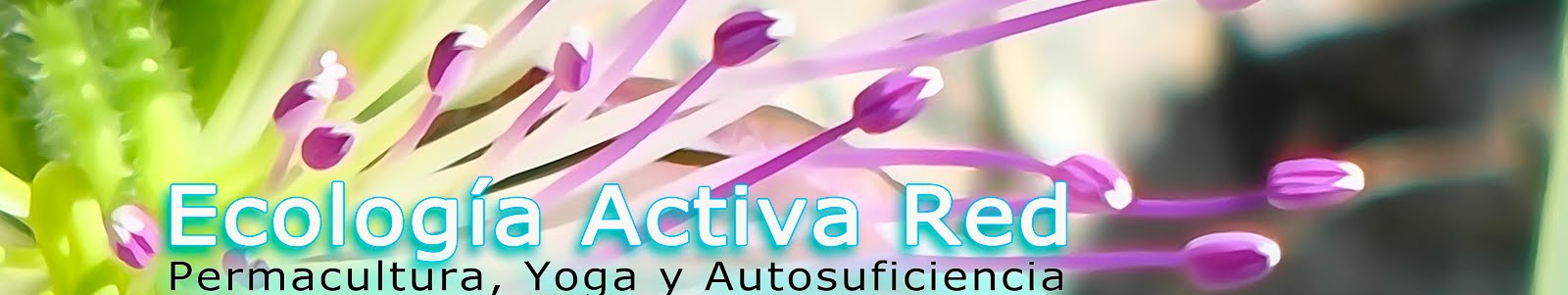 1 ECOLOGÍA ACTIVA RED