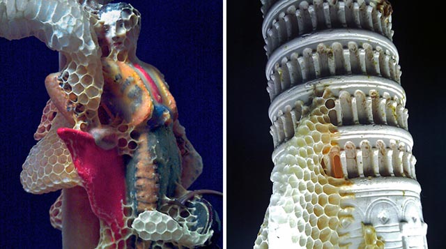 Artista abejas esculturas panales