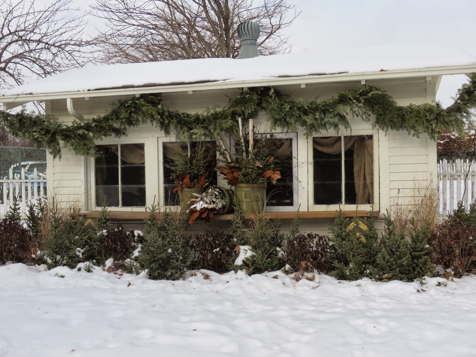 Ever Ready Scandinavian Christmas at Bachmans and a Holiday Treat