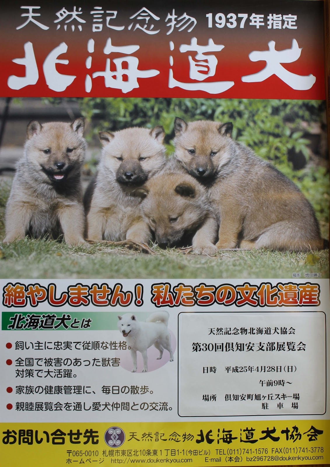 Kutchan Tourism Association 北海道犬協会よりご案内です