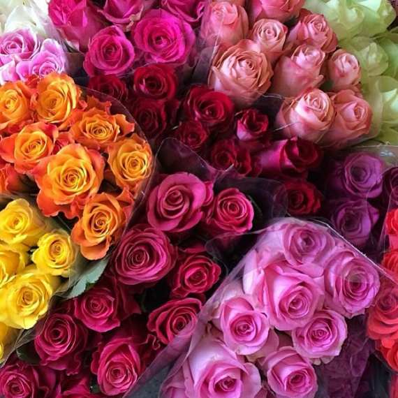 flower market