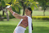 Sunaina hot navel half saree stills
