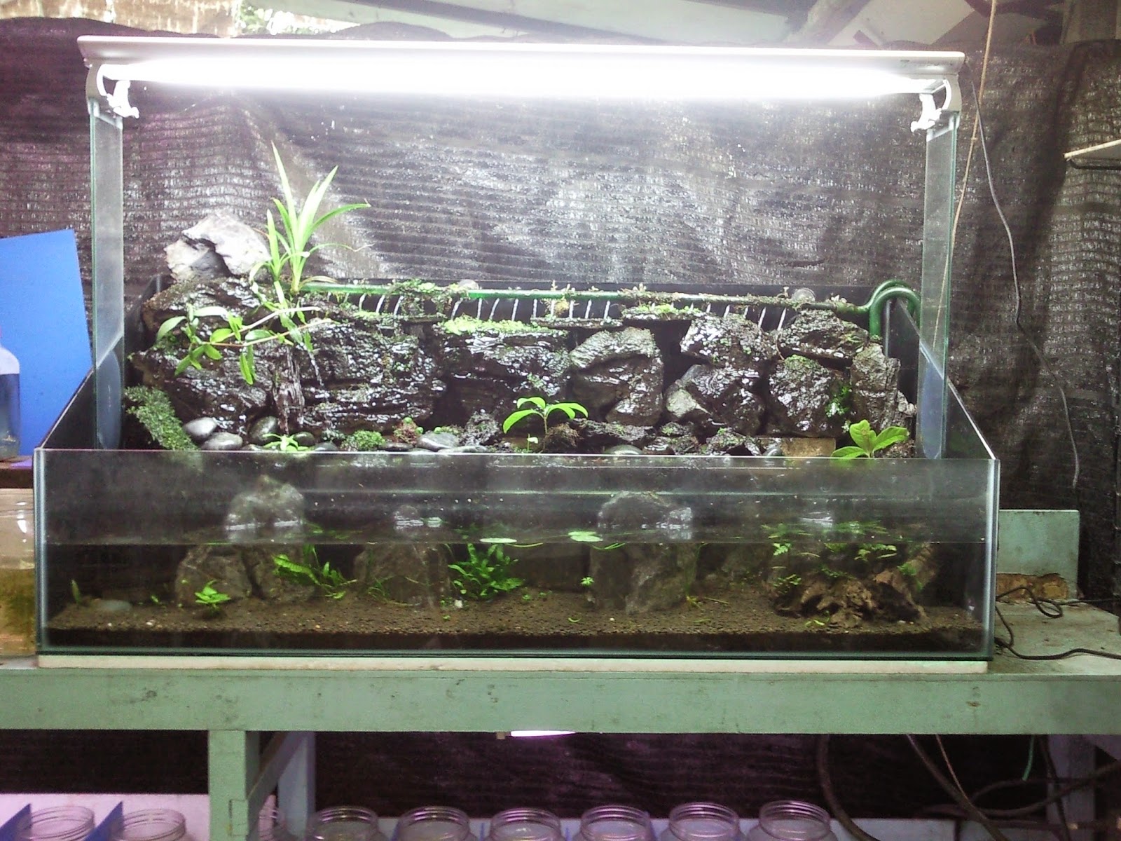 Tropical Fisher Man Fish Tanks And Aquarium CRS Seaview Aquarium