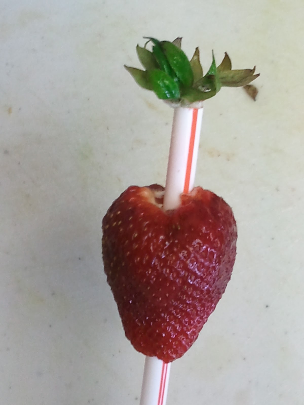 Apt Garden Drinking Straw Converted to Strawberry Huller