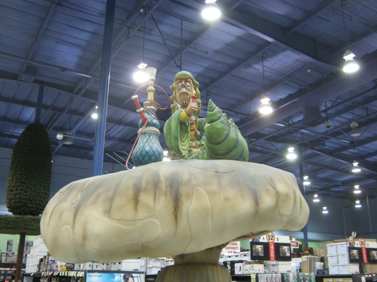 Fun Ideas Alice in Wonderland Fry's