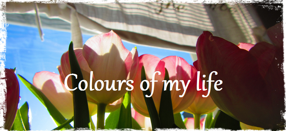 Colours of my life