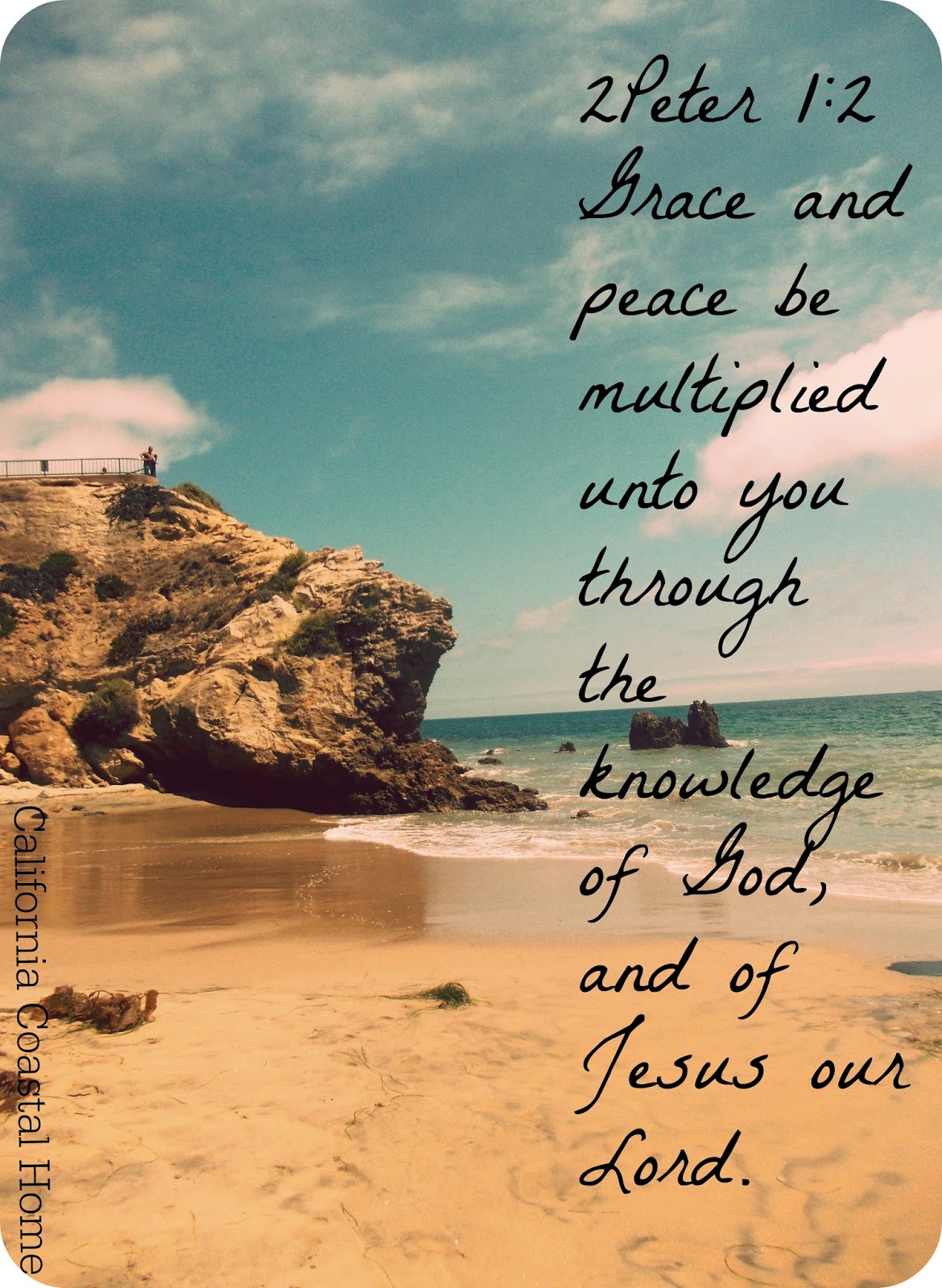 In The Word Wednesday