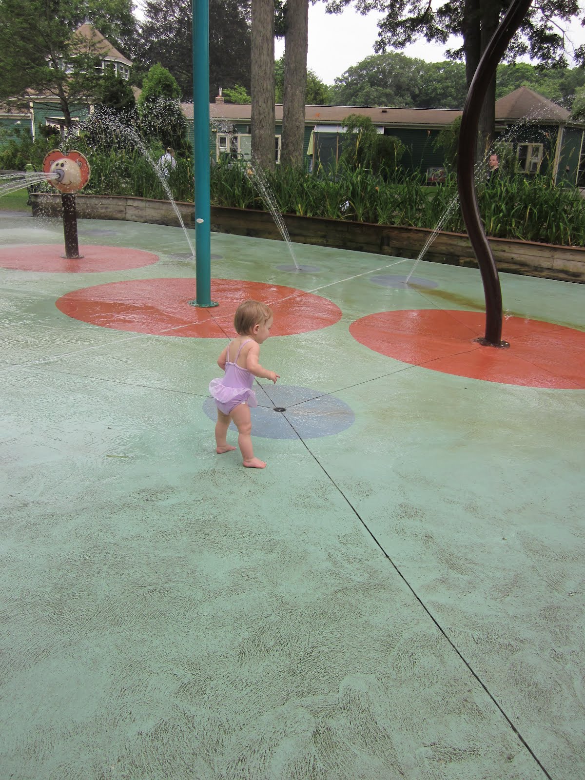 The Places We Go Capron Park Zoo