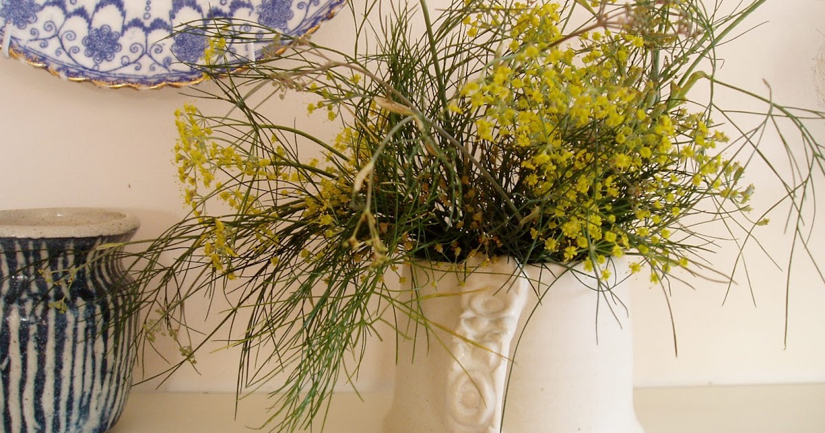 Thrifty Household Fennel and Lemon Liqueur