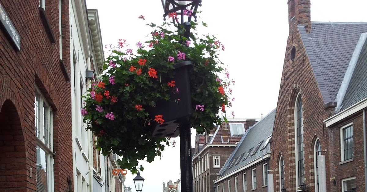 Bir Türkün Hollanda ile Imtihani Hollandalilarin Ciceklere Olan