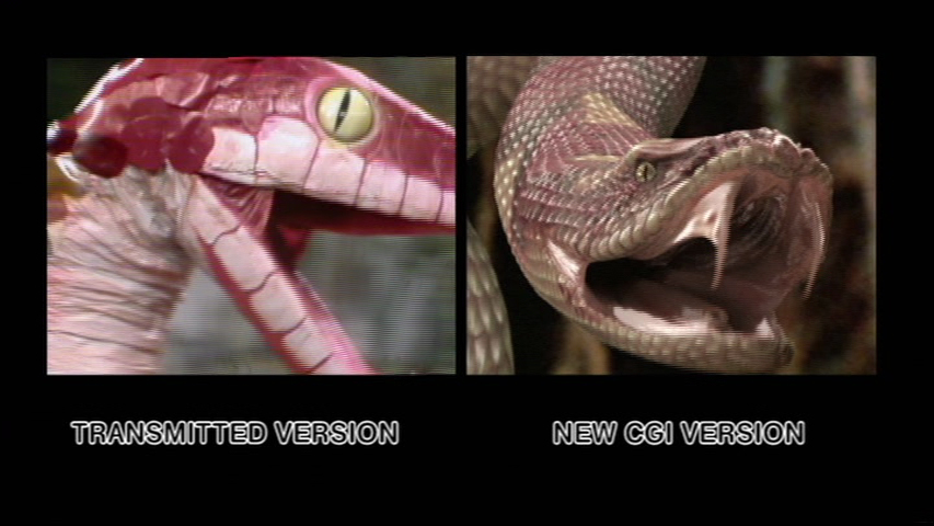 snakecompare.jpg