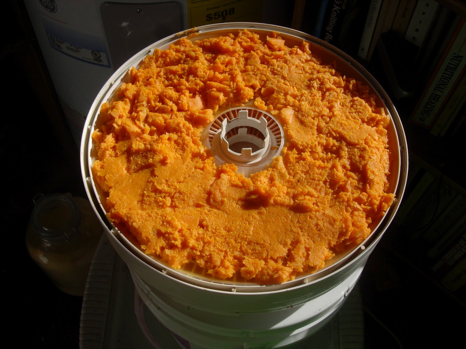 Dehydrating Sweet Potatoes End Of Ordinary