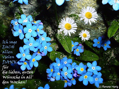 Willkommen In Renates Eckchen