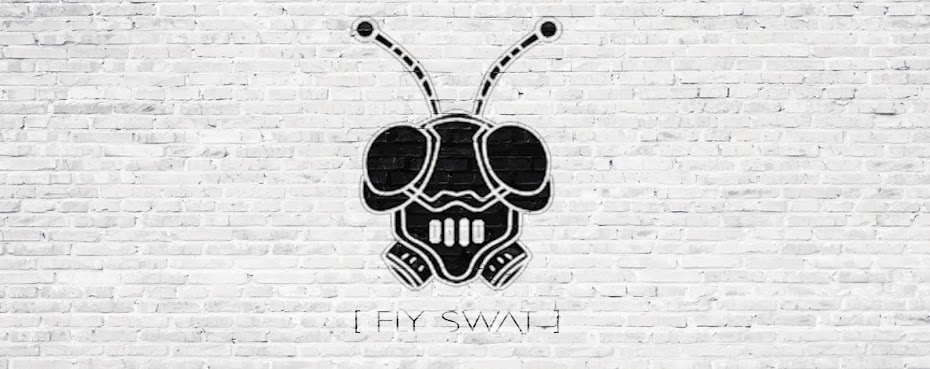 Fly Swat Studios