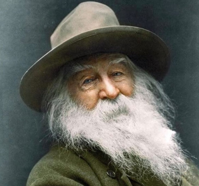 Check Out What Walt Whitman Looked Like  in 1887 