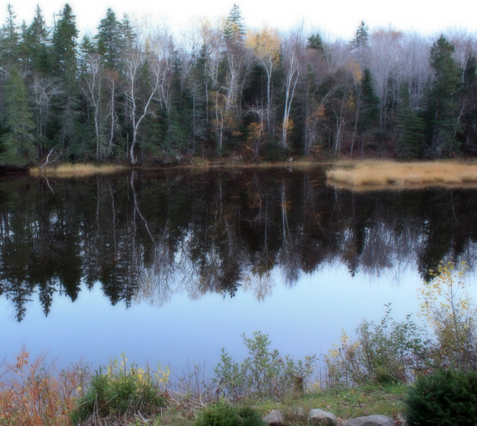 Carol Steel Shediac River, New Brunswick