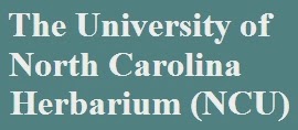 University of North Carolina Herbarium