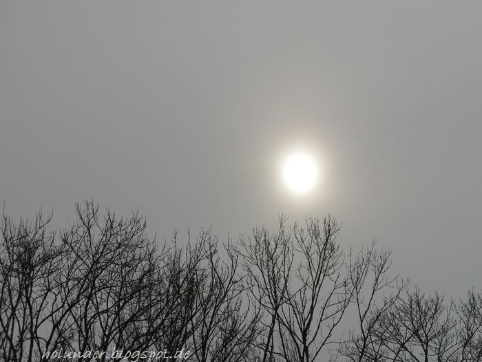 Richtig Lernen Niekao Kreativ In Der Sommerzeit