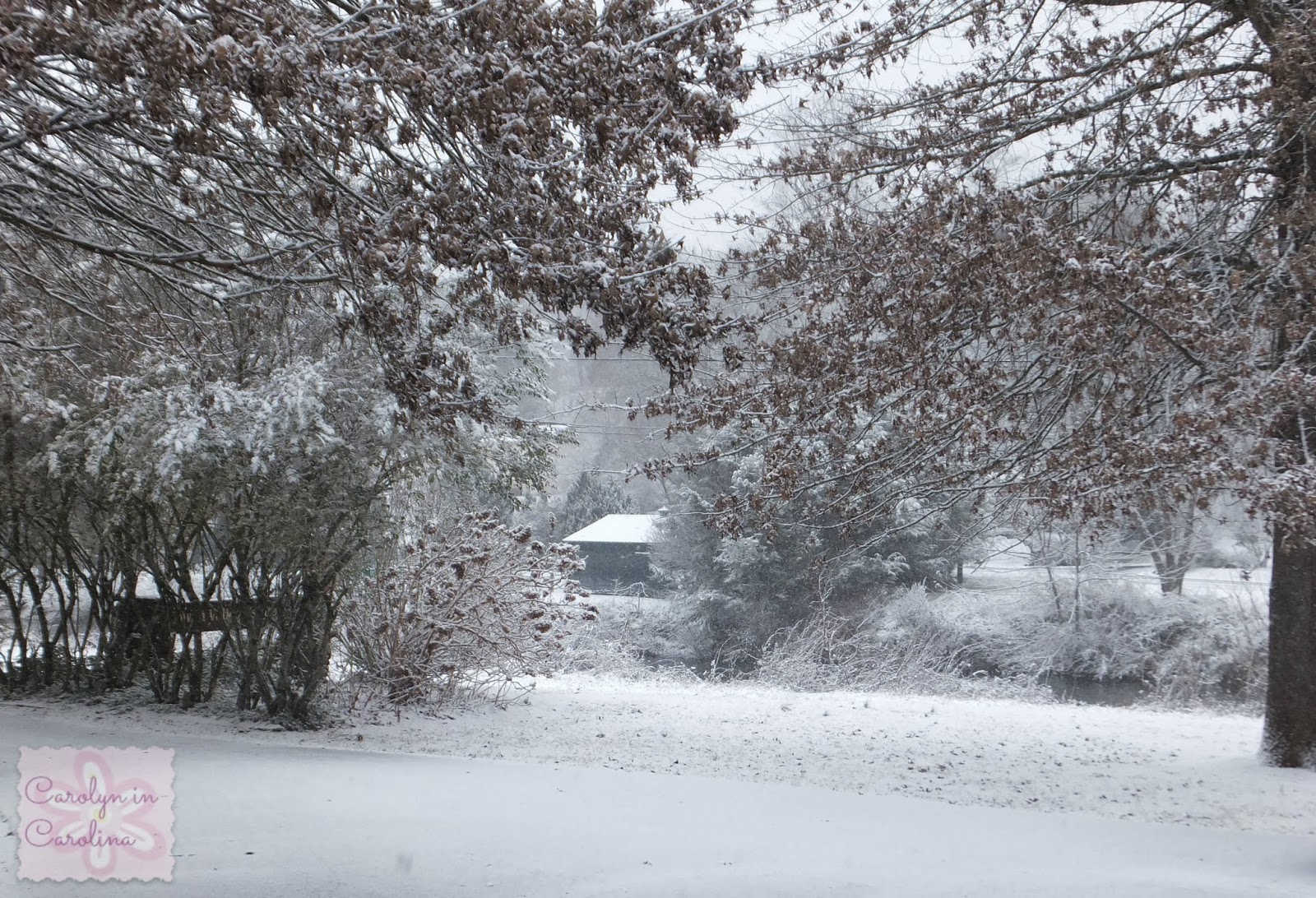 Carolyn in Carolina Snow Days!