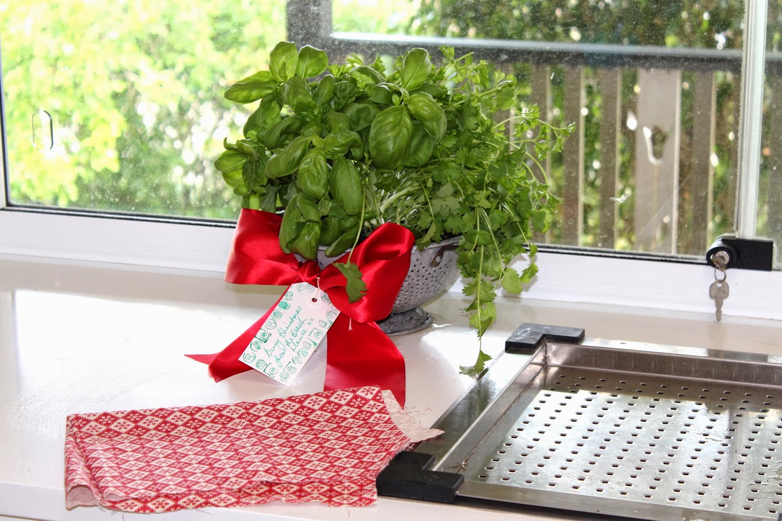 Herb Garden in a Colander for Christmas Desire Empire