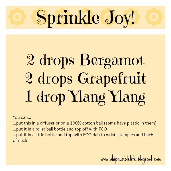 A Hip & Humble Life! Sprinkle Joy Blend