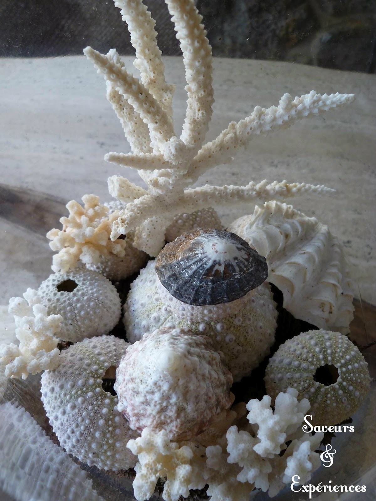 Saveurs et Expériences Bouillon de Meefoon au Poisson à la Mauricienne