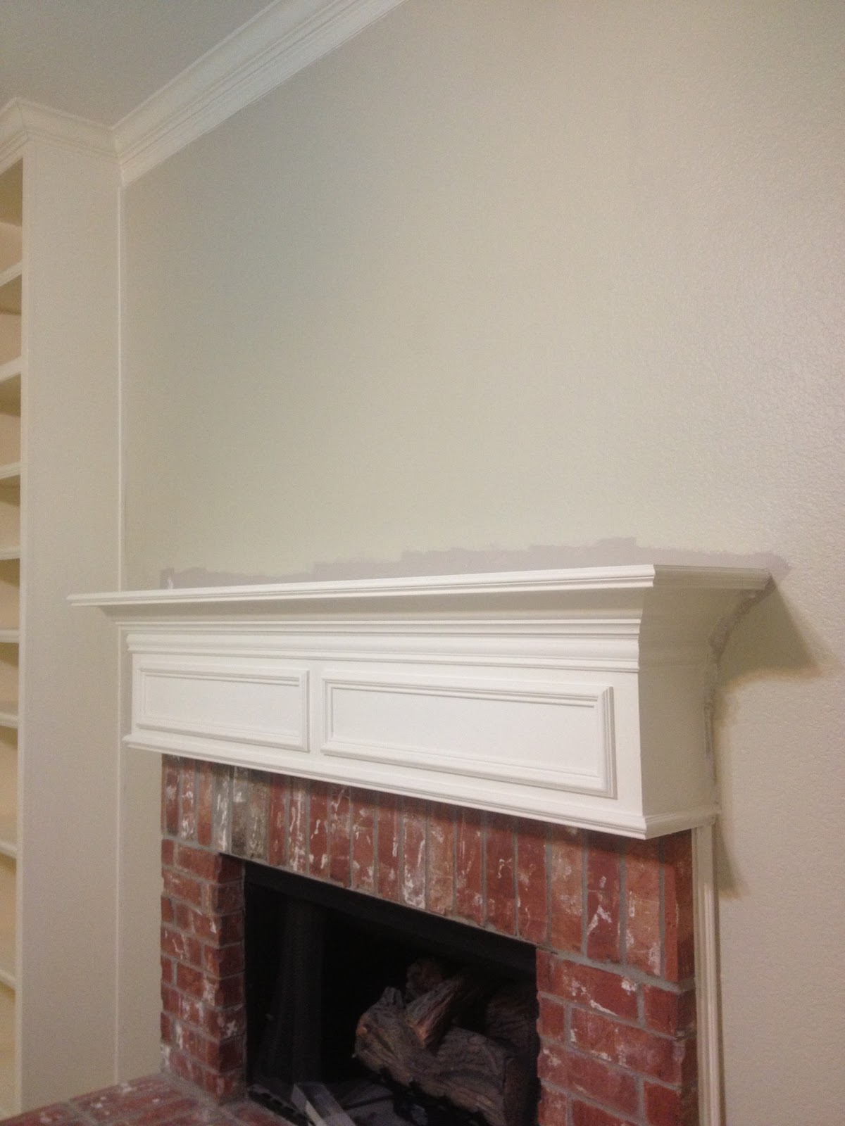 DIY Turtle It takes two (coats of paint)