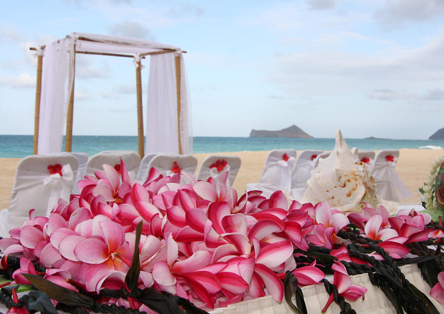 Coastal Wedding Ideas Coastal Wedding Ideas