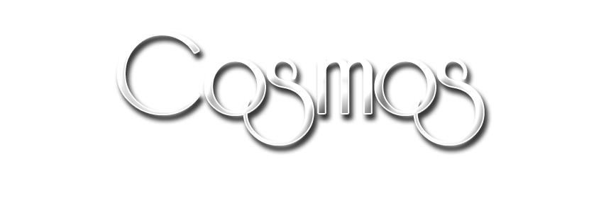 Cosmos Galeria de Arte