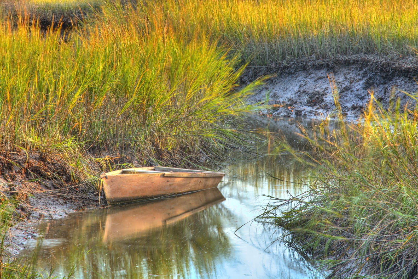 Lincoln's Domain The Salt Marsh of HIlton Head Island