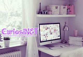 CuriosiNET