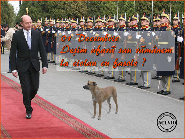 Funny photo Traian Basescu Decembrie