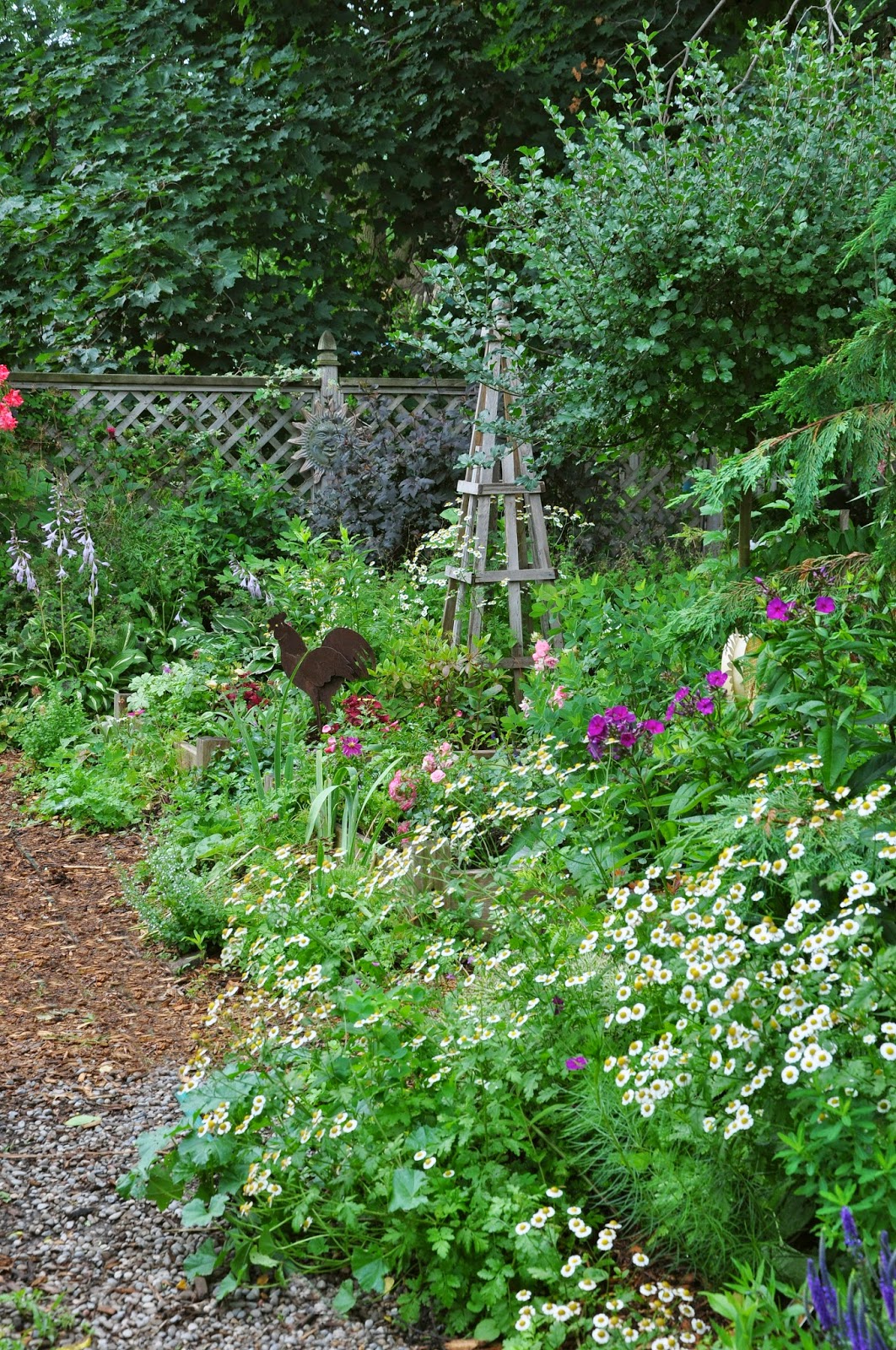 17 Best Deutzias Images Plants Garden Shrubs