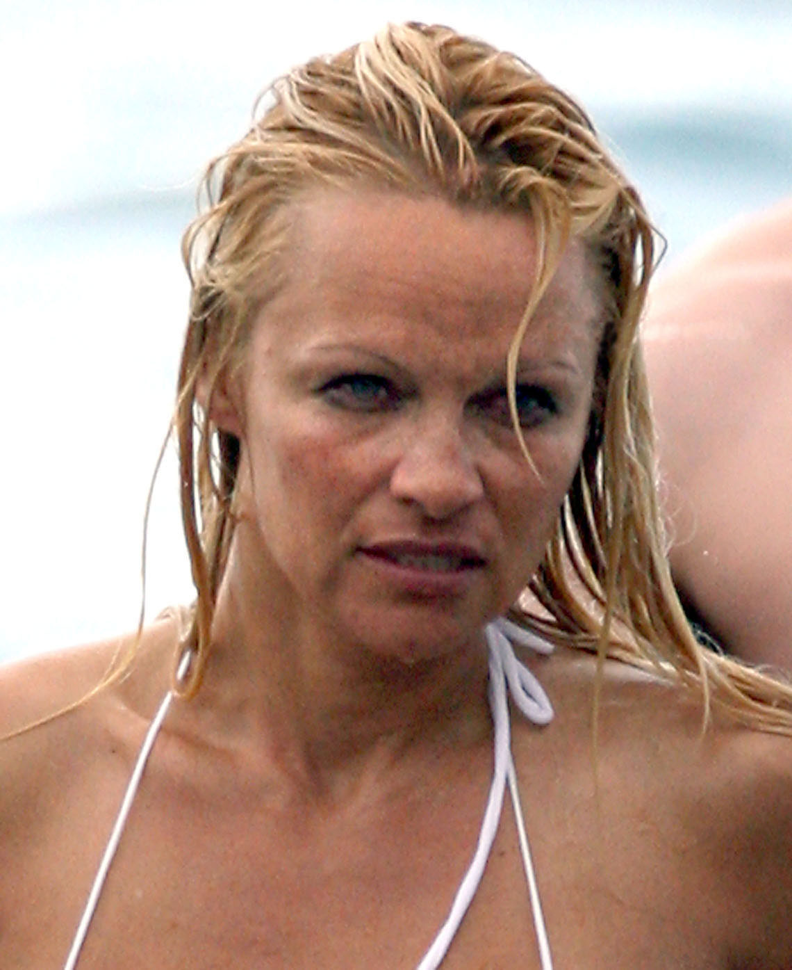 Lords Of Apathy: PAMELA ANDERSON: TRASHY TO ASHY Lords Of Apathy: PAMELA ANDERSON: TRASHY TO ASHY