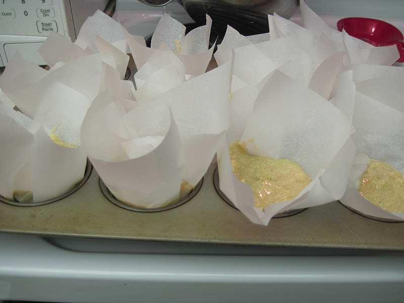 PolkaDotty Place Parchment Paper Cupcake Liners