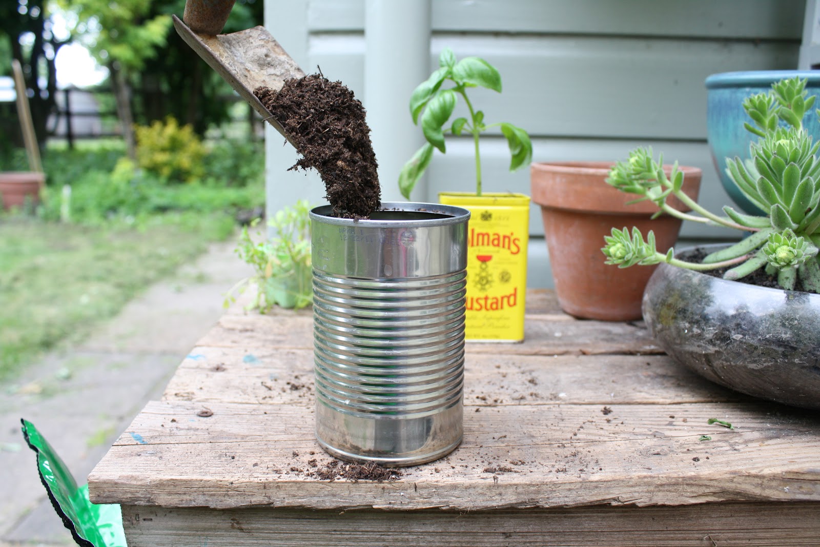 sewhungryhippie Grow a Garden in Tin Cans
