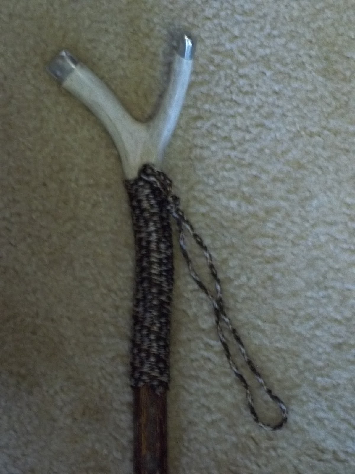 Papas Walking Sticks June 2013