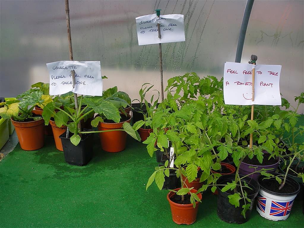 to the Green Heart Dens blog page&hellip;&hellip;. Plant