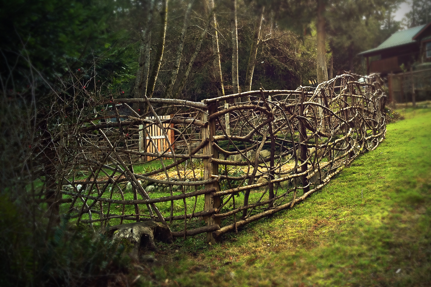 365 - A Daily Photo Blog for 2021: Art Fence