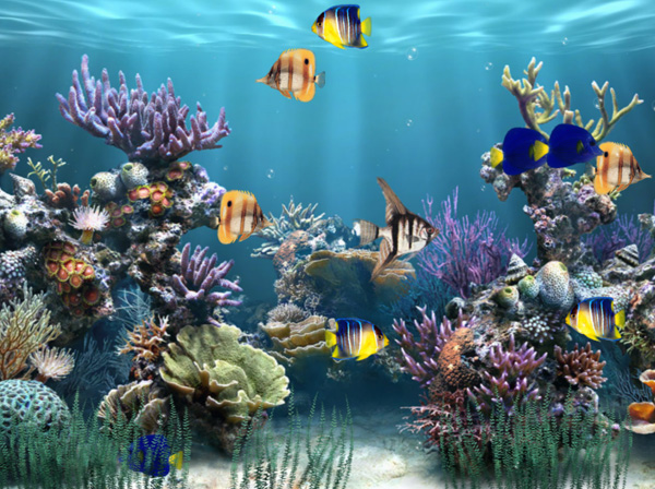 3D Cool Download Screensaver For Windows 7 Desktop Aquarium